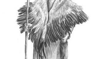 Los neandertales usaban plumas de aves con fines ornamentales