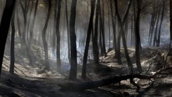 Detenido un pirómano en Galicia que provocó más de 150 incendios