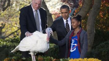 El pavo de Obama: Cobber, el primer animal indultado por Facebook en Acción de Gracias