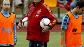 Qué debe pasar para que se clasifiquen España, Italia y Croacia para cuartos de la Eurocopa 2012