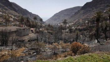 Incendios: Los hidroaviones tratan de apagar un nuevo fuego en Los Realejos y La Orotava (Tenerife)
