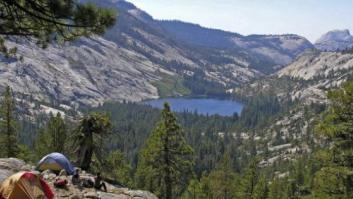 El Parque Nacional de Yosemite, en alerta por un virus mortal provocado por roedores