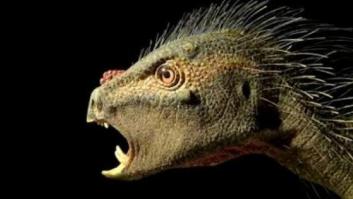 Identificada una nueva especie de dinosaurio enano que nos llegaría al tobillo (FOTO, VÍDEO)