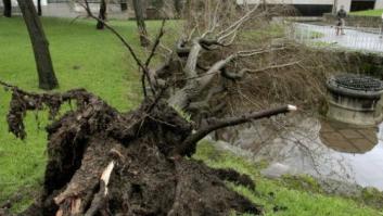 Al menos tres muertos por el temporal de lluvia y viento en la Península