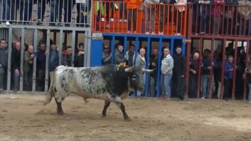 Muere un joven de 19 años corneado por un toro en unas fiestas de Castellón