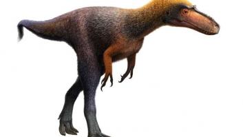 Descubren un pariente "diminuto" del Tyrannosaurus Rex