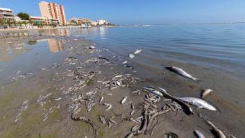 Murcia valida el decreto ley de Protección Integral del Mar Menor