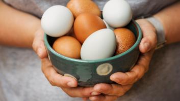 ¿Eres vegano o no te gusta el huevo y no sabes cómo sustituirlo en cocina? ¡Problema solucionado!