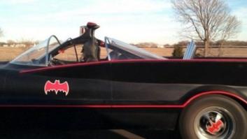 19 cosas que no esperabas encontrarte en la carretera: un perro en moto, un dinosaurio, Batman... (FOTOS)