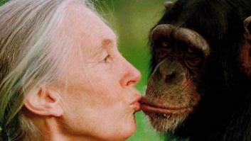 Jane Goodall, acusada de copiar textos de Wikipedia en su nuevo libro