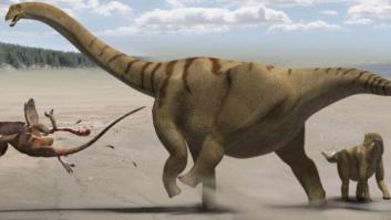 Roban un dinosaurio de tres metros de largo de un museo en Australia
