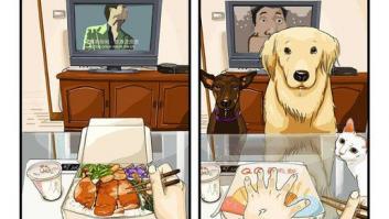 Nueve viñetas que explican lo que es la vida antes y después de tener mascota