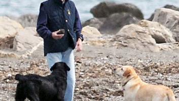 El PSOE de Marbella denunciará a Aznar por incumplir la normativa que prohibe perros en la playa