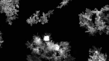 Copos de nieve: fotos al detalle de su forma al caer