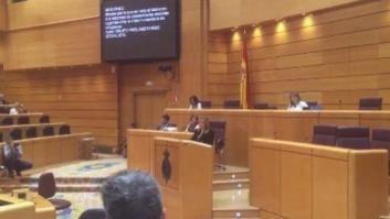 Una senadora se arranca con una canción en euskera en el último Pleno