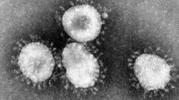 Sanidad está elaborando un protocolo de actuación frente al nuevo coronavirus