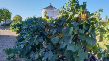 Cómo perderse por las tierras del vino blanco más famoso de España