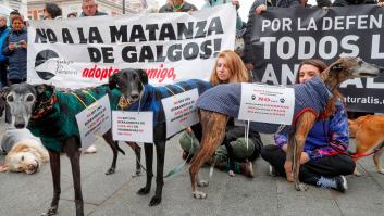Miles de personas protestan en toda España contra la caza y el maltrato del galgo