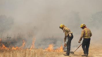 El fuego arrasa 38.023 hectáreas este año hasta el 16 de junio, cuatro veces más que en 2018