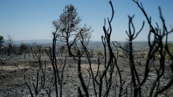 Los incendios de Tarragona, Ávila, Toledo y Madrid han quemado ya más de 10.000 hectáreas