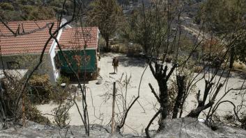 Controlado el incendio forestal de Toledo y Madrid