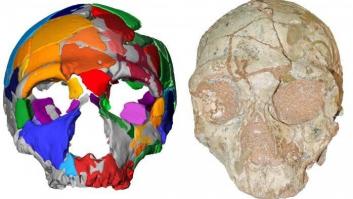 Un estudio sugiere que el Homo Sapiens llegó a Europa 150.000 años antes de lo creído