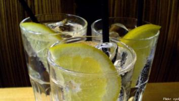 La polémica de la RAE sobre el 'gin-tonic' (TUITS)