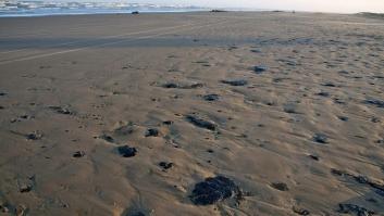 La mitad de la playas de arena podrían desaparecer este siglo como consecuencia de la crisis climática
