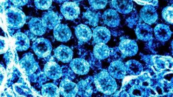 Desde un test de respiración para detectar el virus hasta una infusión mágica: 5 bulos sobre el coronavirus que no debes creerte
