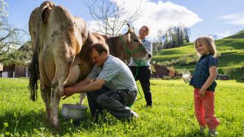 ¿Un litro de leche a 46 céntimos? Las razones por las que un conocido súper ha tenido que retirar esta oferta