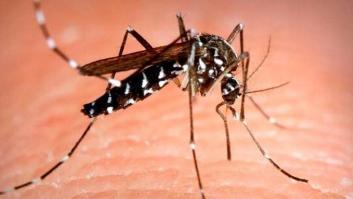 Este es el único país del mundo sin mosquitos