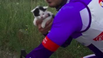 Niccolò Bonifazio, el 'rescatador de gatitos', el último en la etapa del Tour