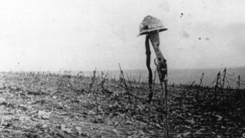 Fotos de la Primera Guerra Mundial: 99 aniversario del verano de su comienzo (IMÁGENES)