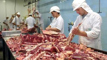 Detenido en Alicante el jefe del macrofraude europeo de la carne de caballo