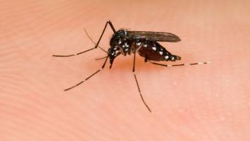 El aviso de la OCU sobre las pulseras repelentes de mosquitos