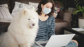 Qué hacer con tu perro si tienes síntomas de coronavirus