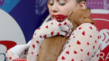 Qué van a hacer Miley Cyrus y Liam Hemsworth con los 16 animales que compartían