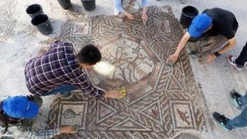 Un agricultor cava un hoyo para plantar un árbol y emerge de la tierra un asombroso mosaico de 84 metros del siglo IV