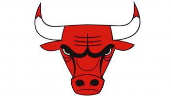 Triunfa al descubrir qué pasa si das la vuelta al escudo de los Chicago Bulls