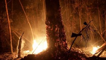 Brasil despliega 44.000 militares para luchar contra los incendios
