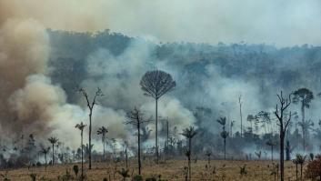 Lo que está ocurriendo en el Amazonas, en realidad, no está ocurriendo