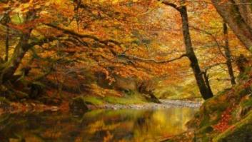 Los ocho mejores lugares para disfrutar del otoño