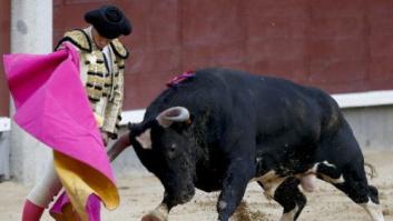 ENCUESTA: ¿Deben protegerse las corridas de toros como Patrimonio Cultural Inmaterial de la Humanidad?