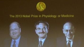 Premio Nobel de Medicina 2013: James E. Rothman, Randy W. Schekman y Thomas C. Südhof galardonados