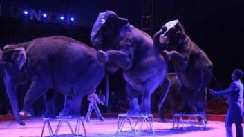 Cataluña prohibirá el circo con animales