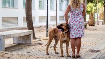 Zamora cobrará un impuesto de 9 euros por cada perro censado