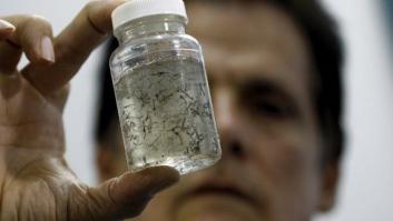 Virus del Zika, ¿nueva amenaza o alarma injustificada?