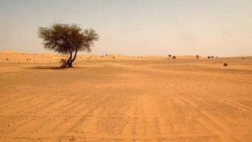 Hallados los cadáveres de 87 inmigrantes muertos de sed en el desierto de Níger
