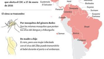 La OMS declara el virus del zika emergencia global