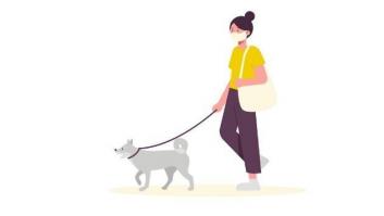 Los paseos de perros han cambiado: lo que ya puedes hacer al sacar a tu mascota